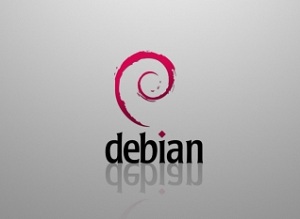 Xeoma video surveillance software works on Debian 6 Server