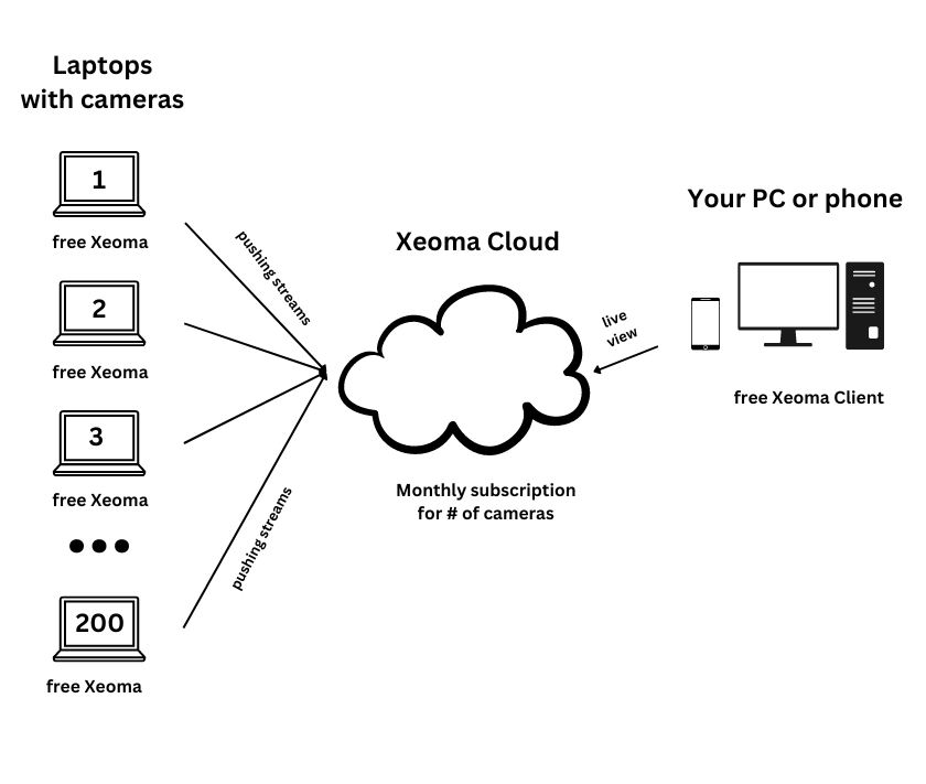 Cameras can be connected to Xeoma cloud video surveillance