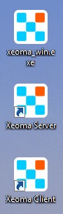Ярлыки программы для видеонаблюдения с клиент-серверной архитектурой Xeoma (Windows)