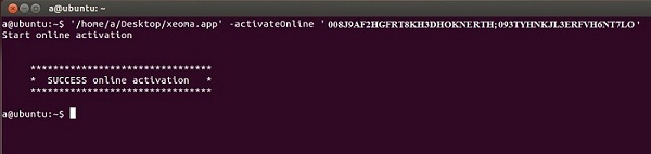 Активация обновлений программы Xeoma через консоль на Linux