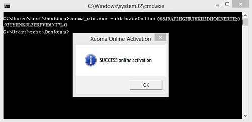 Активация обновлений программы Xeoma через командную строку в Windows