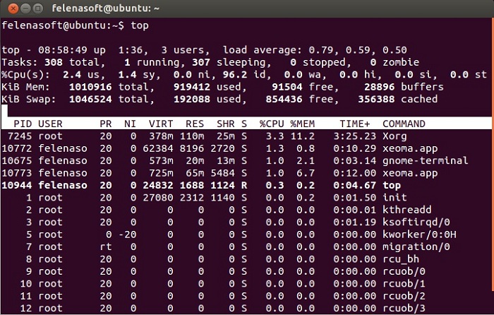 Success output in Terminal