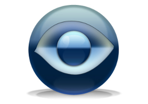 Video surveillance software WebCam Looker