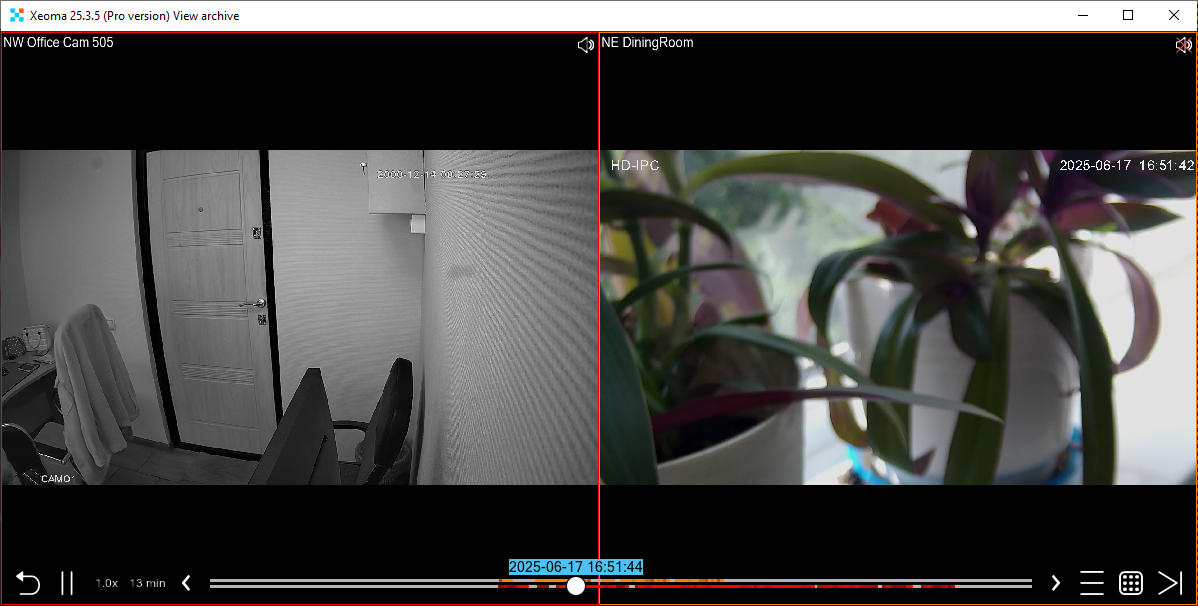 How to analyze video footage from video surveillance effectively: multiview