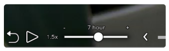 How to analyze video footage from video surveillance effectively: adjust time scale