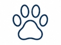 Xeoma's AI-based Object Recognition can detect animals and pets