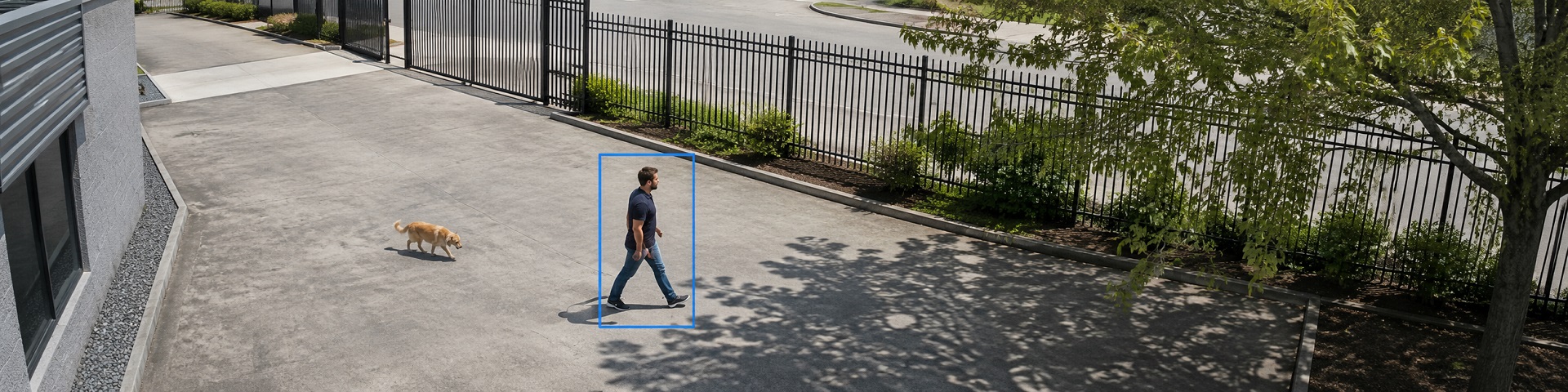 Motion Detector in Xeoma - banner