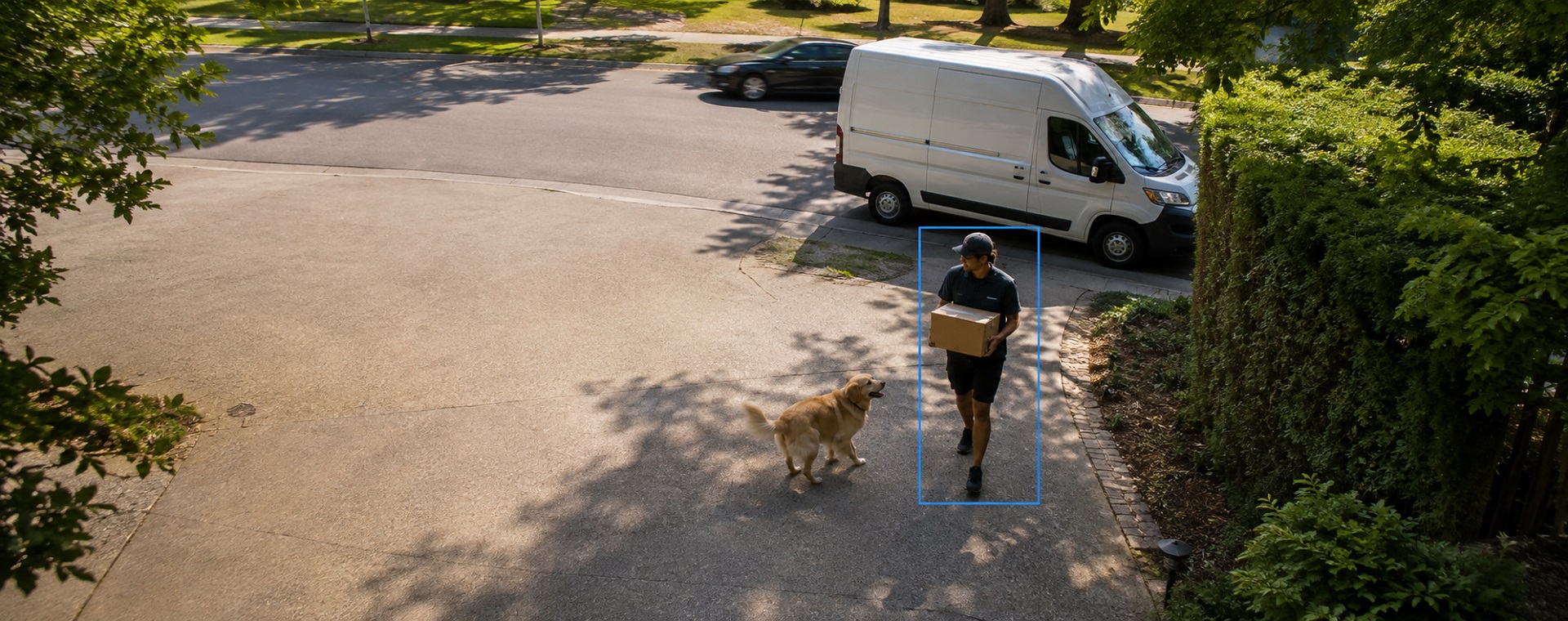 Getting to know the Motion Detector: banner