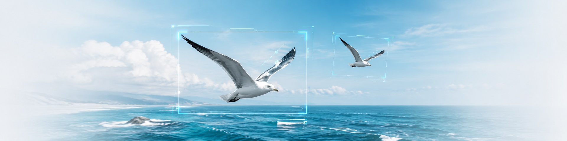 Seabird recognition in Xeoma