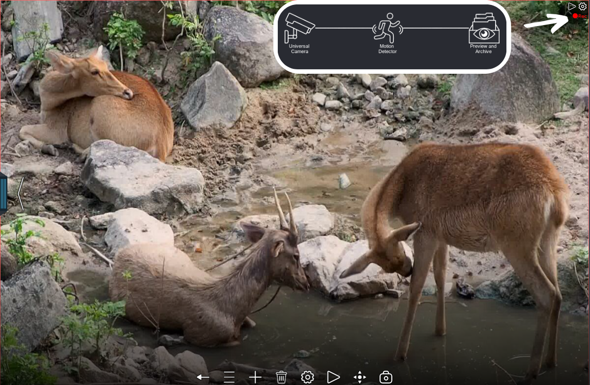 Nature and wildlife video surveillance with Xeoma: animal motion detection