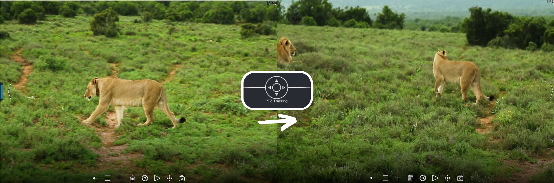 Xeoma PTZ Tracking for Wildlife Video Surveillance
