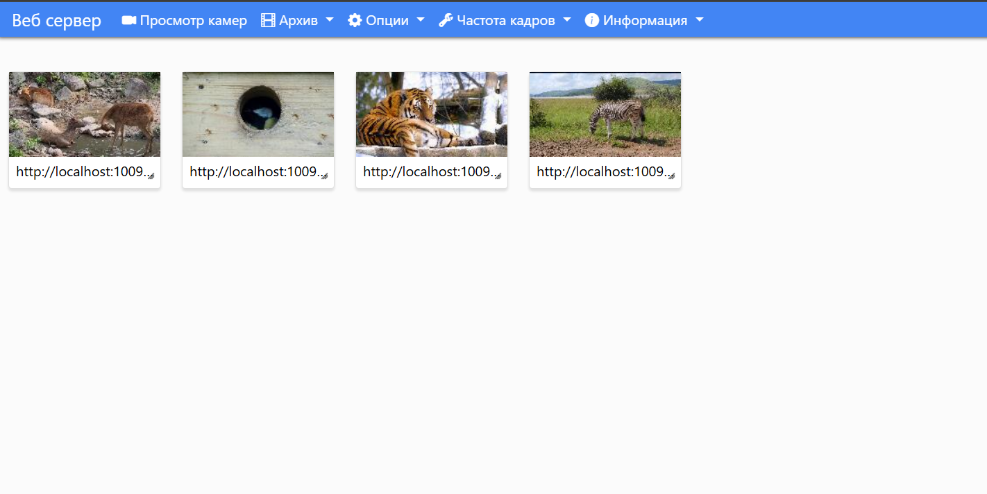 Веб-сервер Xeoma для удалённого просмотра дикой природы