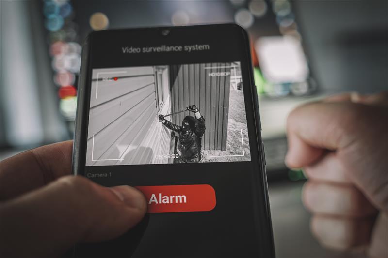 Top safety in best CCTV software 2025 Xeoma