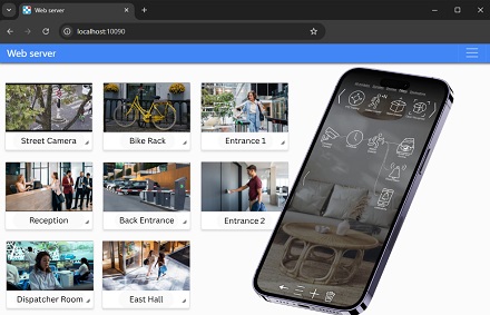Xeoma browser access