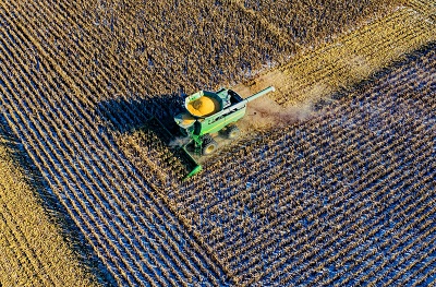 With CCTV, successful farming business can be managed remotely even in lockdown